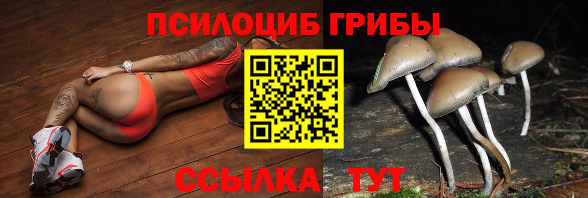 Галлюциногенные грибы Magic Shrooms Ступино